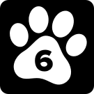 63x.png